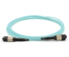 24 Fiber MTP Cable, Standard Female, Multimode OM4