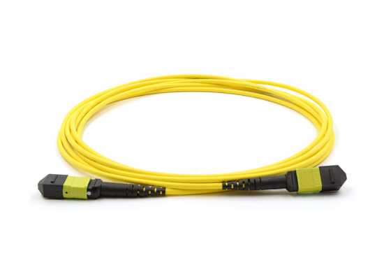 Picture of 16 Fiber MPO/APC Low Loss Female to Female Custom Cable Assembly - 9/125µm Singlemode OS2 - Micro Distribution Yellow Plenum Rated - 2 Meters in Total Length - Method B Polarity 