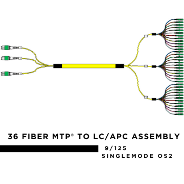 Show details for 36 Fiber MPO Fanout Cable - (x3) 12 Fiber MPO/APC Standard Male to (x36) LC/APC (x3 Bundles of 12) - 9/125µm Singlemode OS2 - Micro Distribution Yellow Plenum Rated - 0.5 Meter Breakout Length using 2mm Tubing  Picture of 36 Fiber MPO Fanout Cable - (x3) 12 Fiber MPO/APC Standard Male to (x36) LC/APC (x3 Bundles of 12) - 9/125µm Singlemode OS2 - Micro Distribution Yellow Plenum Rated - 0.5 Meter Breakout Length using 2mm Tubing