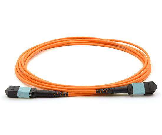 12 Fiber MPO/UPC Low Loss Male to Male Custom Cable Assembly - 62.5/125µm Multimode OM1