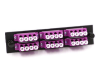 LGX Adapter Plate with 6 Quad LC Magenta Adapters